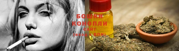 прущие грибы Белоозёрский