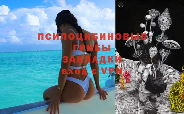 дживик Балахна