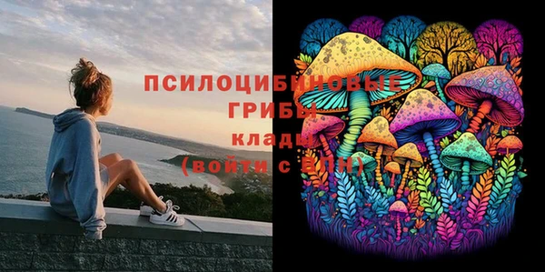 дживик Балахна