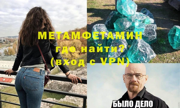 прущие грибы Беломорск
